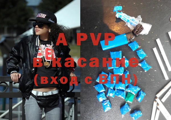 стаф Богданович