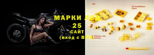 стаф Богданович