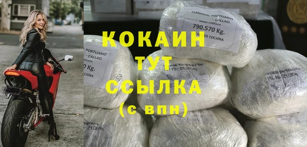 стаф Богданович