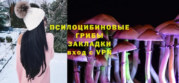 ГАЛЛЮЦИНОГЕННЫЕ ГРИБЫ Белокуриха