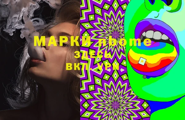 стаф Богданович