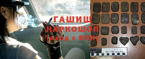 стаф Богданович