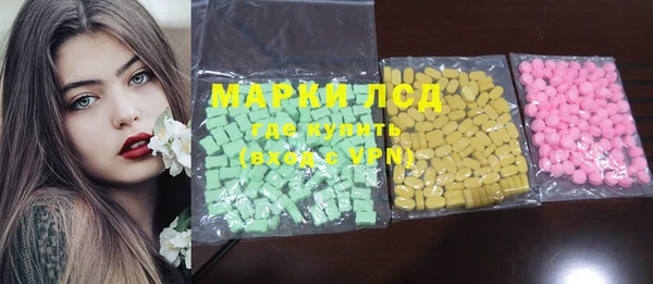 стаф Богданович
