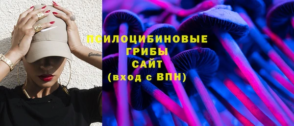 стаф Богданович