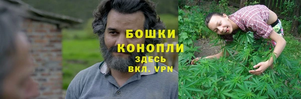 стаф Богданович